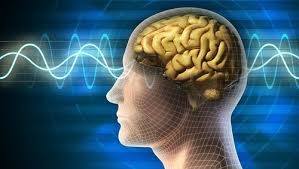 A brain. Consciousness and singularity. Hersenen. Bewustzijn en singulariteit.