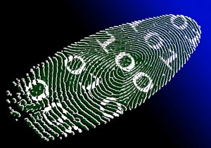 Digitale identiteit, identiteitsbeheer, vingerafdruk