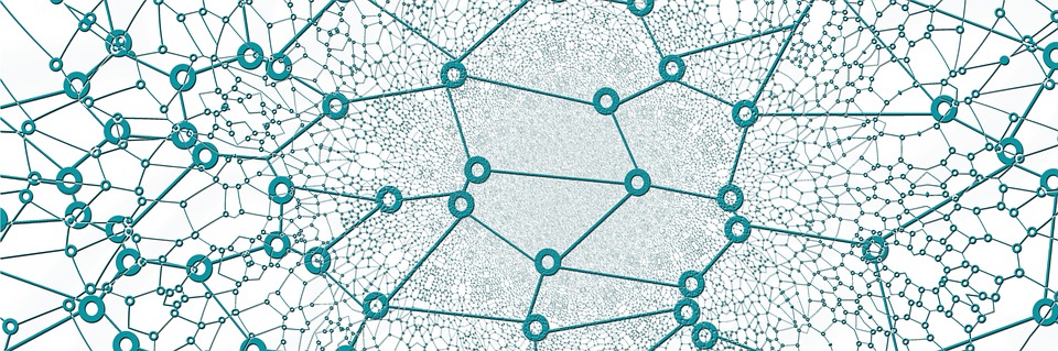 Netwerk, blockchain. 