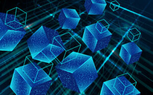 Blockchain, blokken
