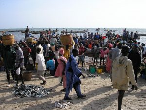Senegalese vissers