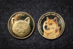 Shiba Inu (SHIB) en Dodgecoin (DOGE)