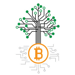 Bitcoin, blockchain, nonce, Merkle tree